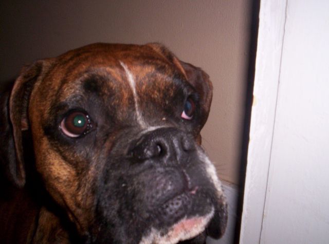 Close up!