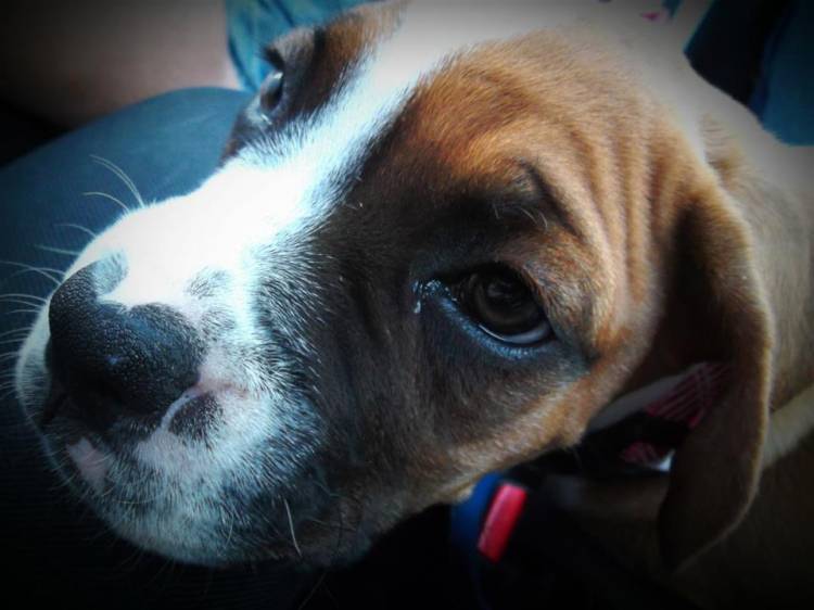 Close-up