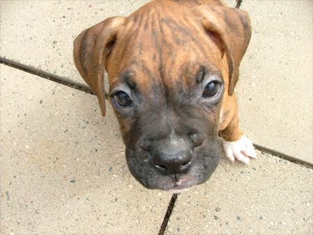 Closeup!