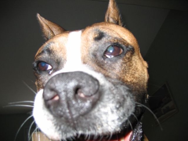 Closeup