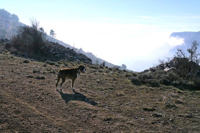 Cloud level