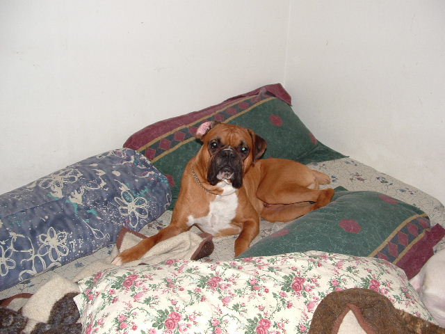 C'mon dad, let me go to sleep!