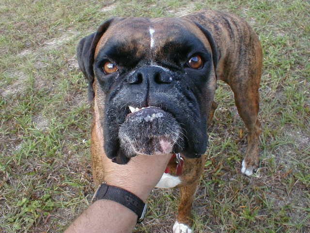 C'mon - Gimme a big kiss!