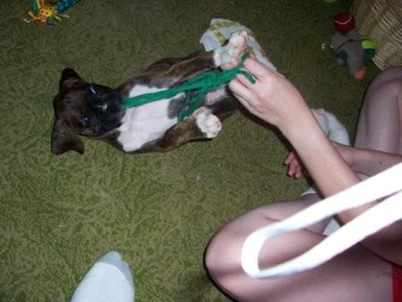 C'mon give me the string