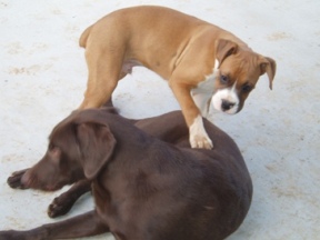 C'mon...let's play!!