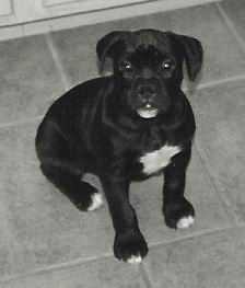 Coal @ 10 weeks