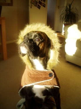 coat2