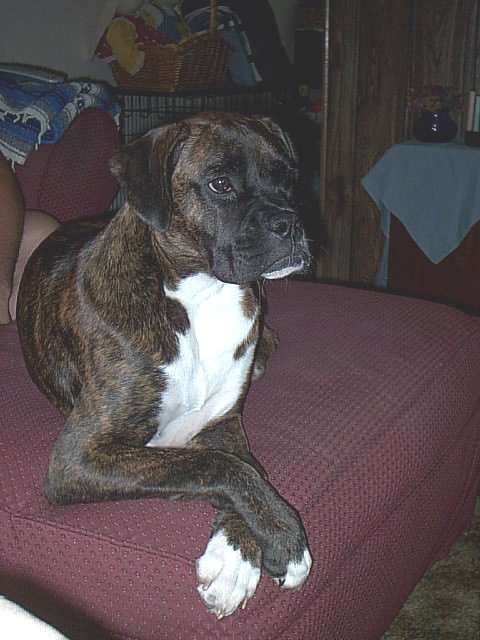 Coco chillin'