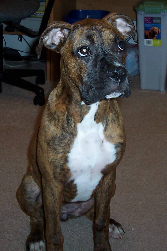 Coco62