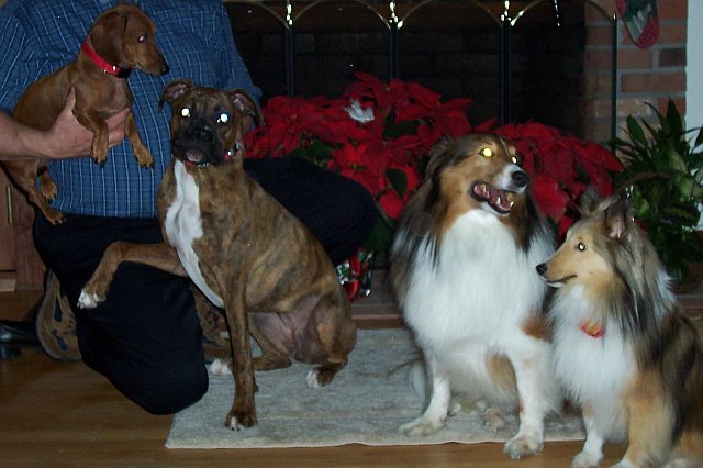Cocos Cousins
