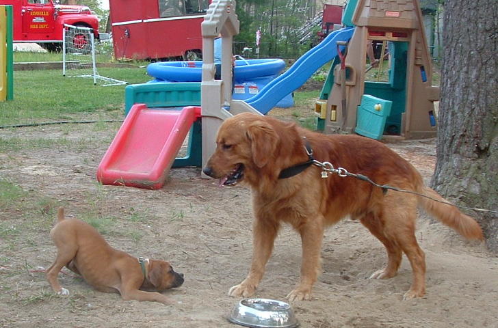 Cody and his cousin LOL