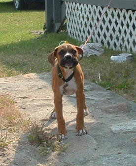 Cody @ Beach House