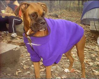 Cody - camping in fleece jacket