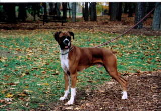 Cody November 2007