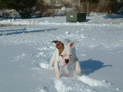 Cold Again!