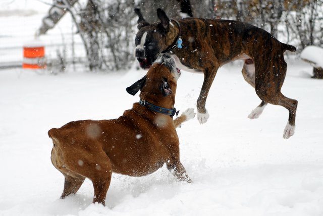 Cold Play
