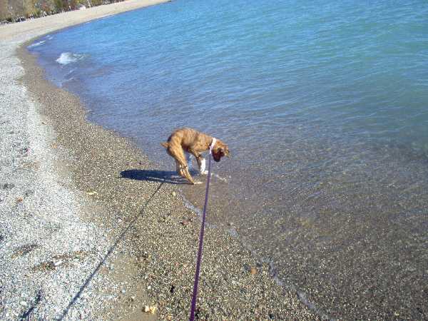 cold water