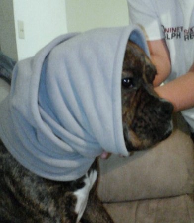 cold_ears