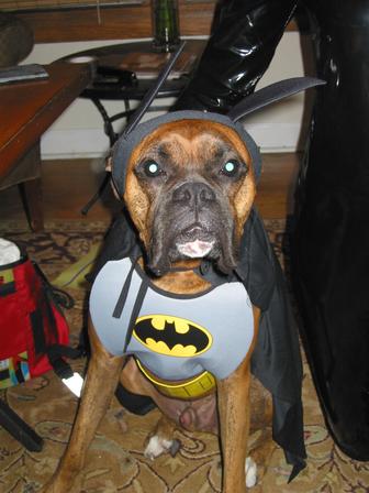 Cole at Halloween Party