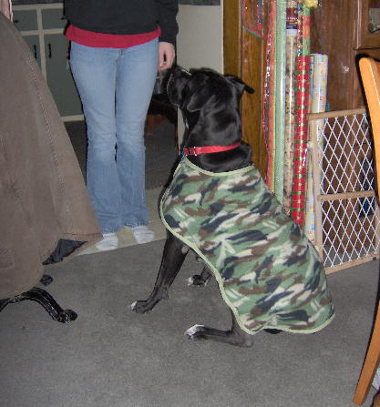 Cole in his new coat