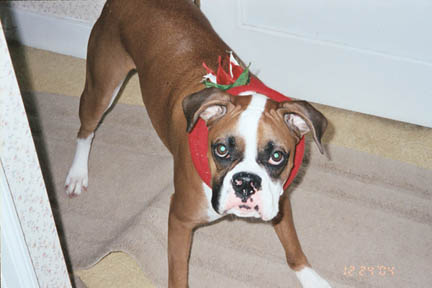 Come get me .... let's play!!