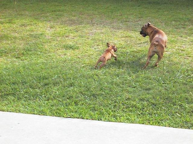 Come get me!!!