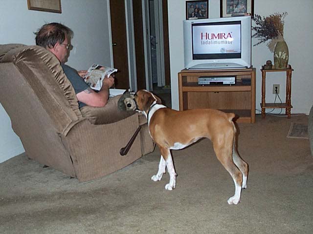 Come on Dad. Put the Paper down and Play NOW.