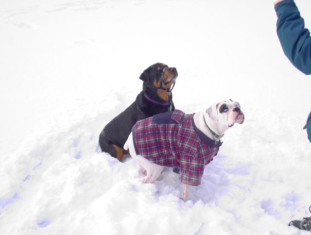 Come on give us the treats!