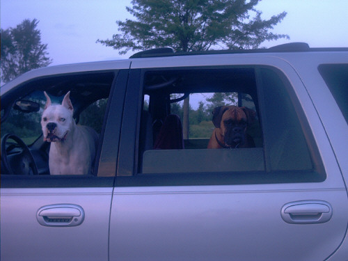 Come on mom hurry up or we are leaving without Yea!!