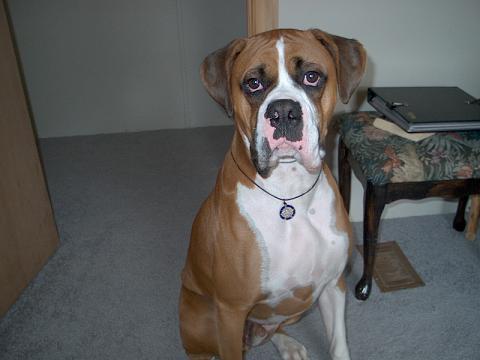 Come on mom Im waiting...