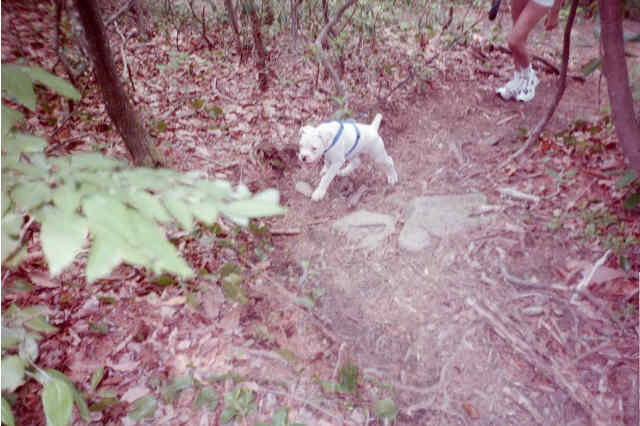 Come on mom, let's go!