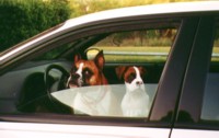 Come On Mom, We're Ready!