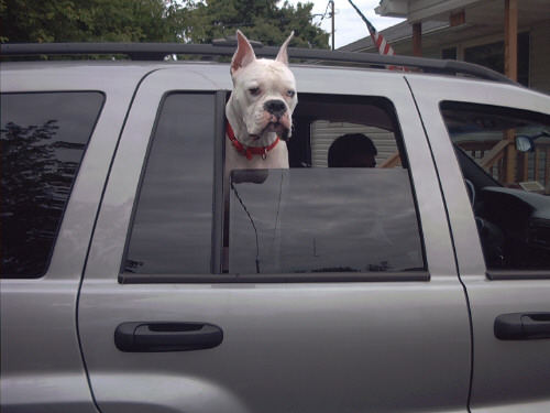 Come on Mommy hurry up lets go!
