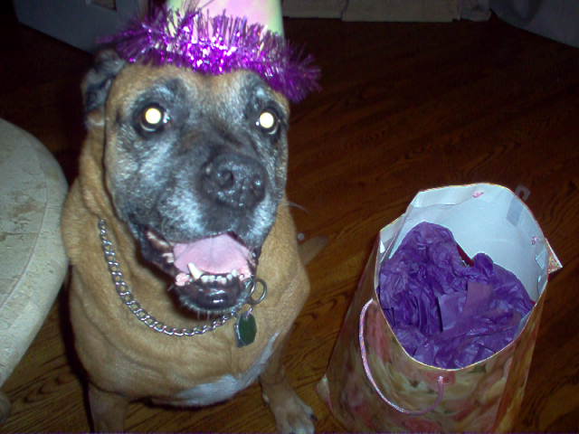 Come on, open my presetn already!!!