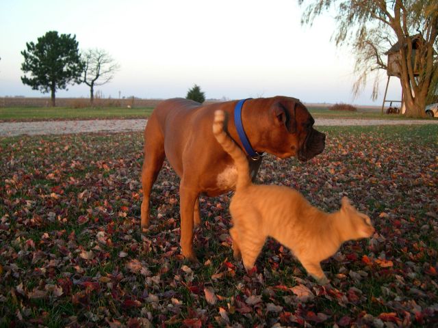 Come On Rusty, Let's Play!!!!