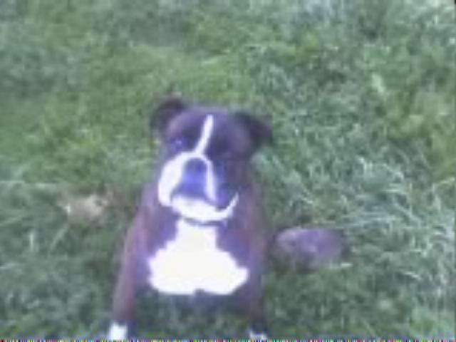 come on throw the ball