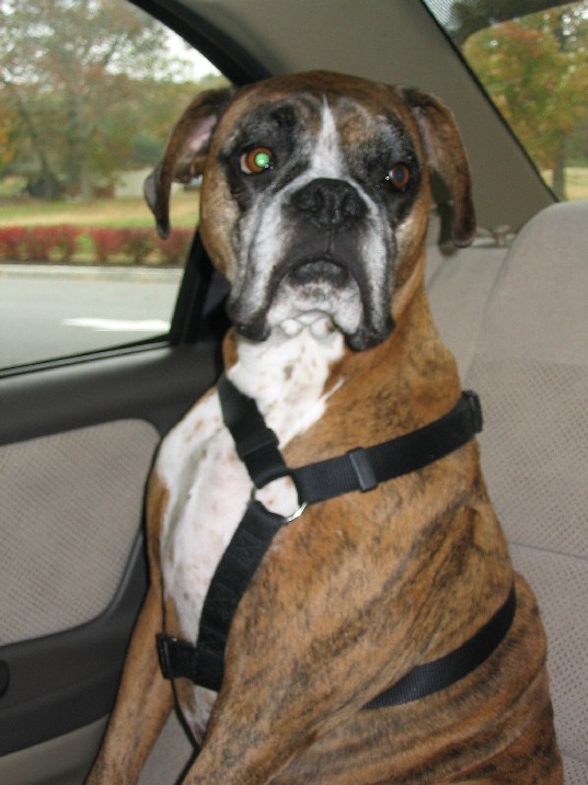 Comeon' dad lets go!!!!