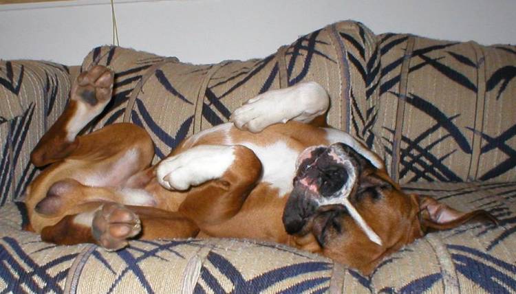 Comfort
