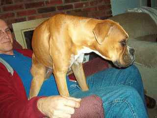Comfortable Beau?