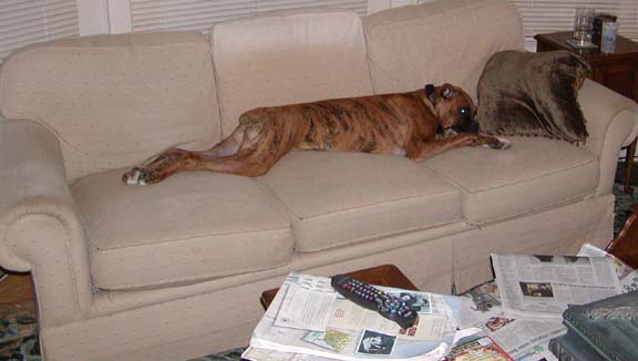 Comfortable?