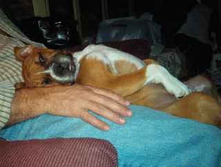 Comfortable???