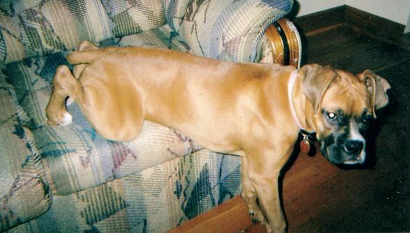 comfortable?