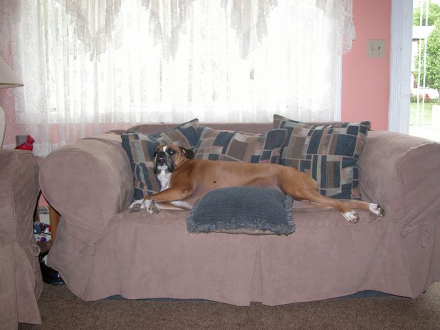 Comfy for a nap