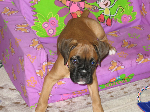 Comfy Sofa!