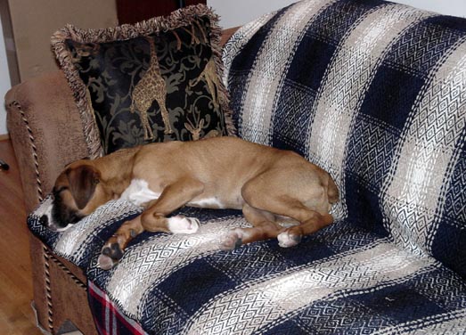 Comfy sofa