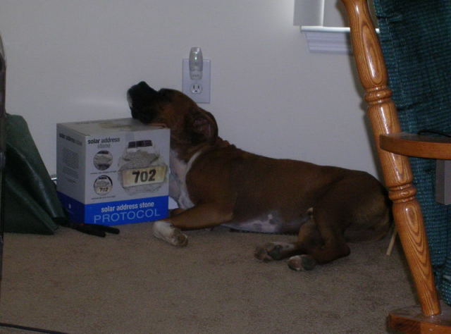 Comfy spot