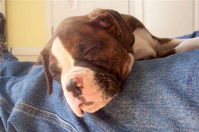 Comfy spot...