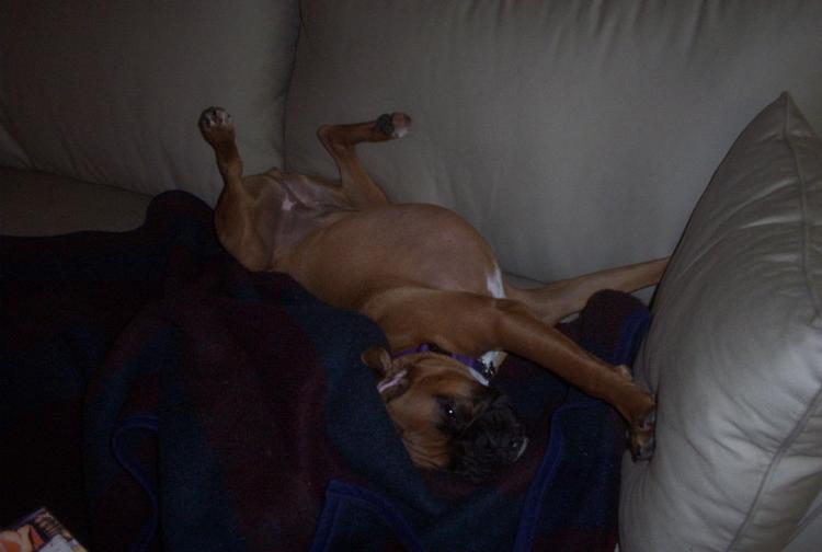 Comfy???
