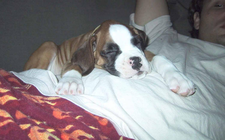 Comfy