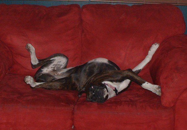 comfy_jorja